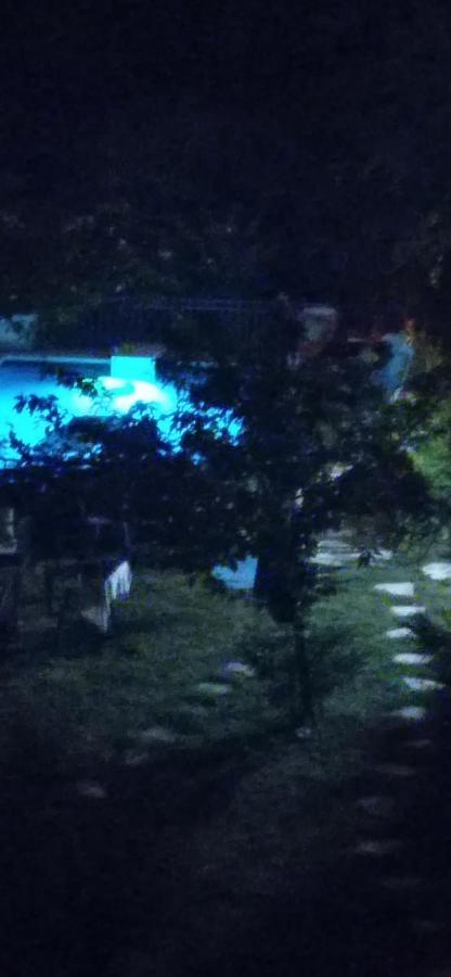 Appart Independant, 1 Lit Deux Personnes Et 1 Appoint Piscine Jardin Direct Gare Aeroport Et Jardin ตูลูส ภายนอก รูปภาพ