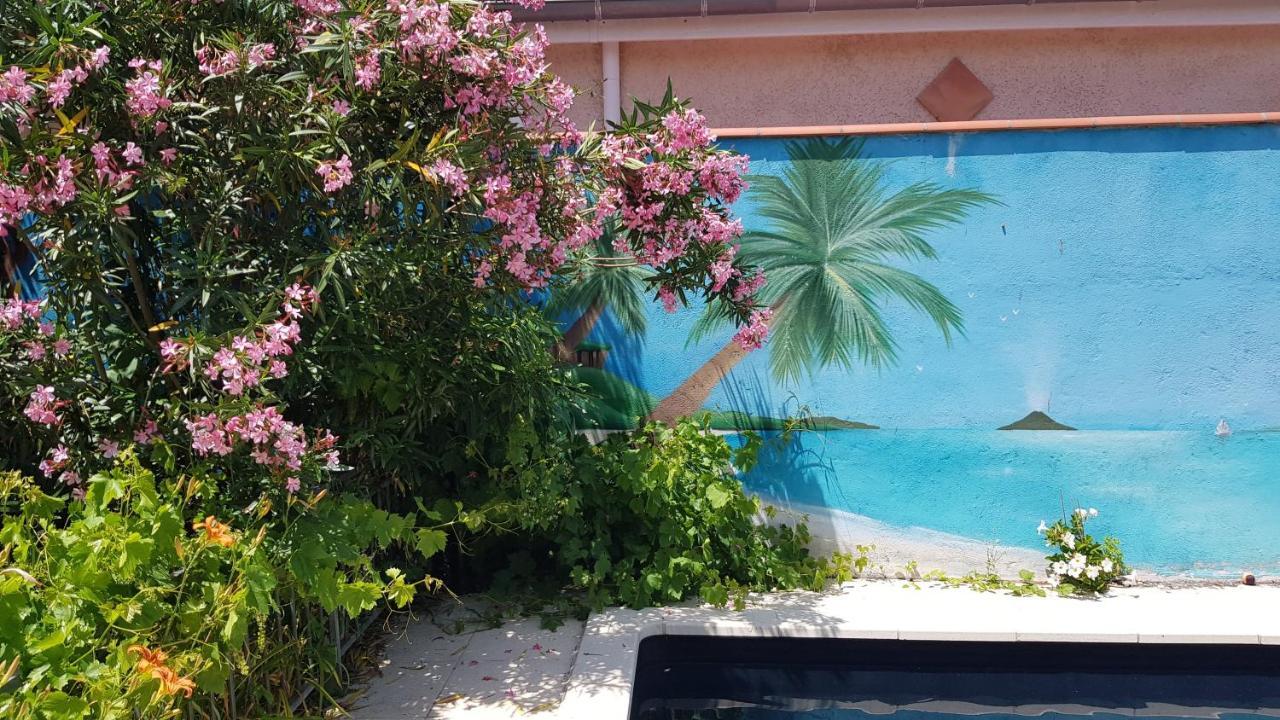 Appart Independant, 1 Lit Deux Personnes Et 1 Appoint Piscine Jardin Direct Gare Aeroport Et Jardin ตูลูส ภายนอก รูปภาพ