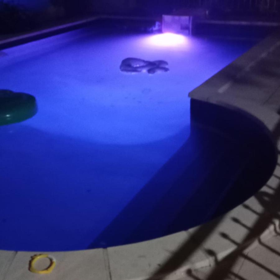 Appart Independant, 1 Lit Deux Personnes Et 1 Appoint Piscine Jardin Direct Gare Aeroport Et Jardin ตูลูส ภายนอก รูปภาพ